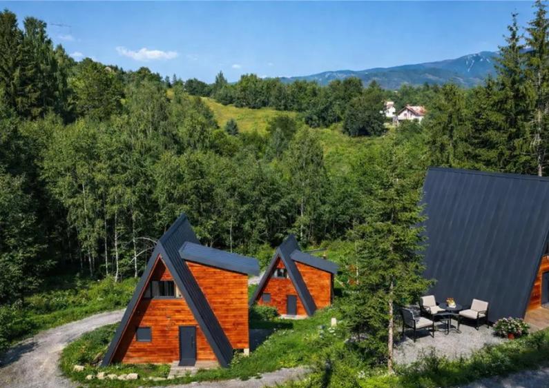 In incantare peisagistica,rafinata cabana, echipata,Moieciu, - 16