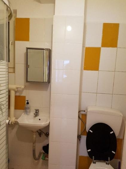 2 camere Sala Palatului - Stirbei Voda parter nemobilat - 5