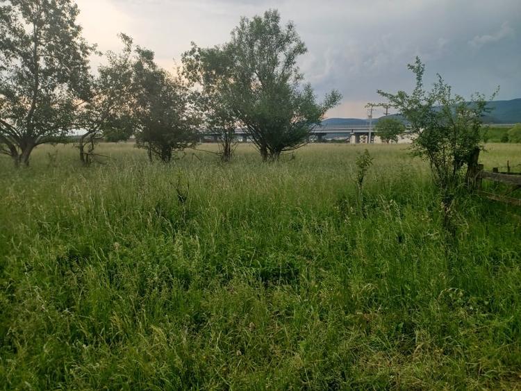 Teren intravilan Rasnov - 2