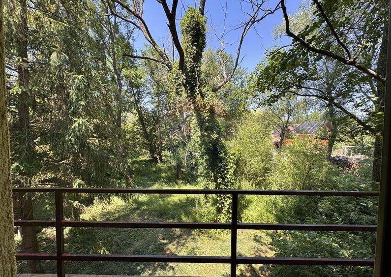 Casa cu teren generos refugiul perfect in Paltinoasa... - 7