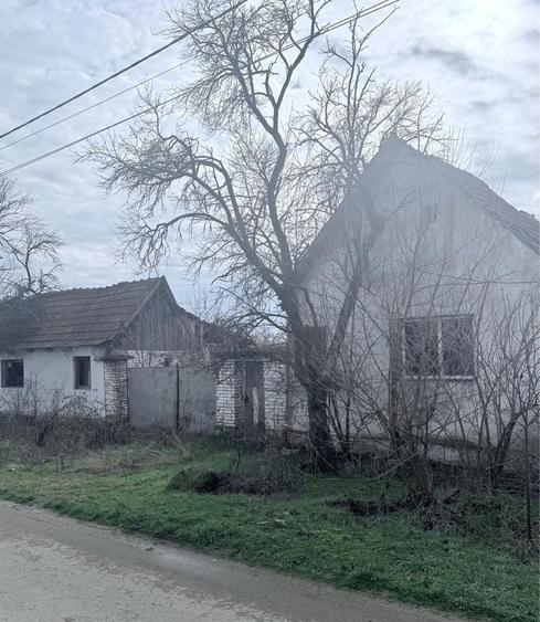 Casa de vanzare in sat Rapsig jud Arad cu 1400 m2 pamant - 1