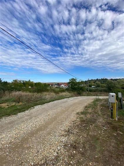 RECO Teren intravilan Paleu 647mp cu Utilitati inclusiv Gaz - 5