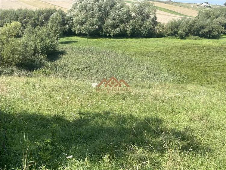 De Vanzare | Teren | Com. Moara | 8000mp - 2