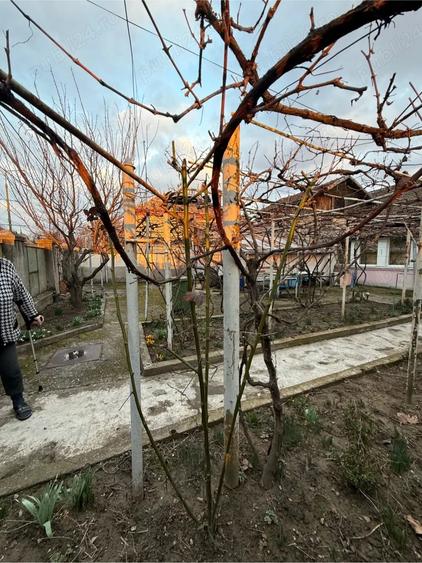 CASA Complex studentesc - 4