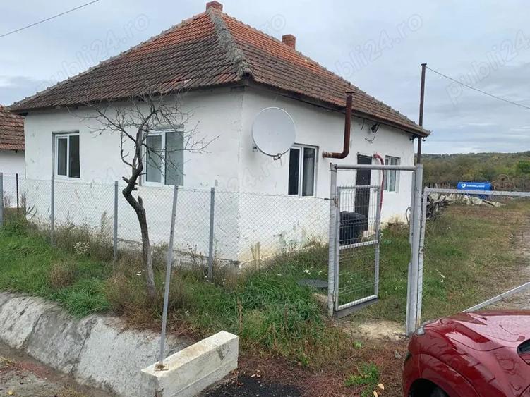 Asociere HALA Inalta JUD TIMIS LA 8km de A1, posibilitate extindere 4ha intravinal - 4