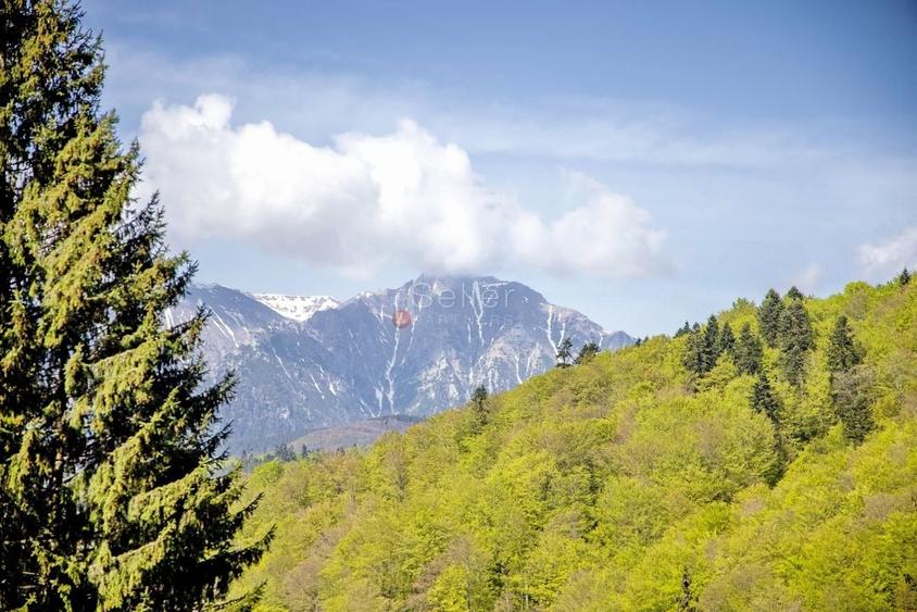 Duplex in mijlocul naturii - 31