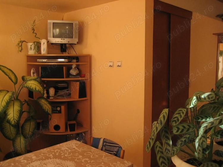 apartament ALUNIS - 1