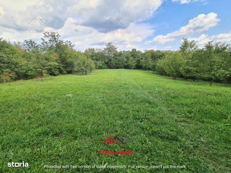 Teren intravilan in Poiana Campina zona retrasa 3287mp 10e - 4