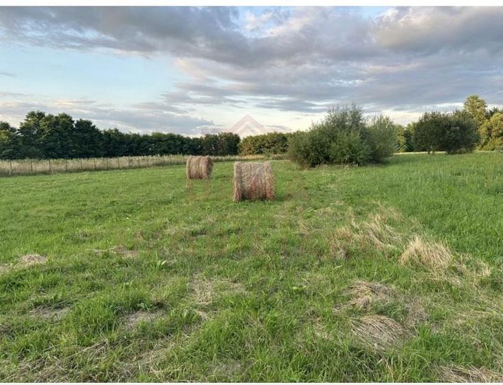 TEREN INTRAVILAN\699 mp, 45€ mp\ CARANSEBEȘ\ ZONA TEIUȘ - 2