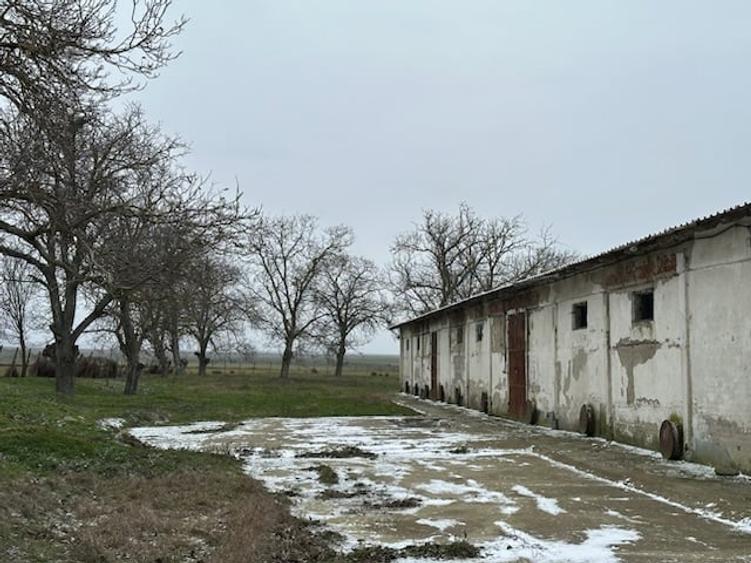 DEPOZIT CEREALE - CEAMURLIA DE JOS/STATIA CFR TVA INCLUS - 12