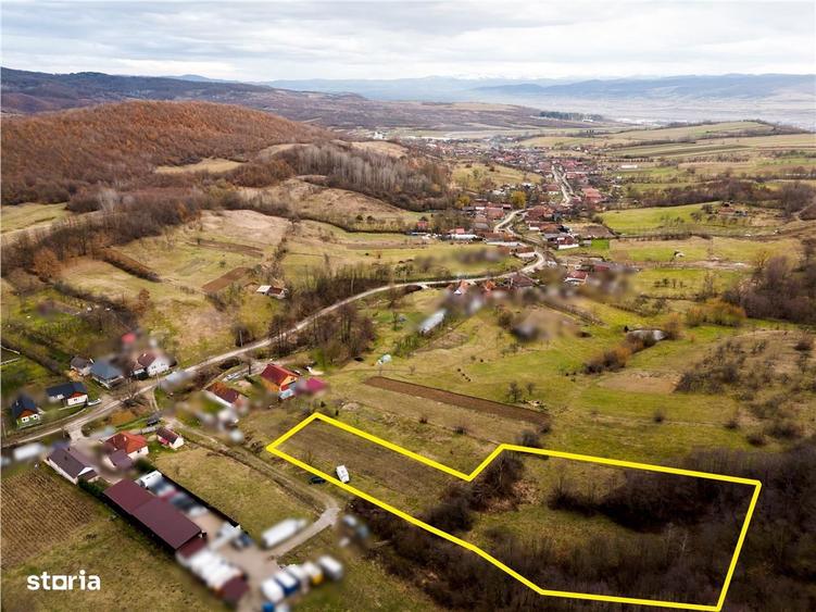 RECO Teren in Zona Pestis, aproape de Alesd - 1