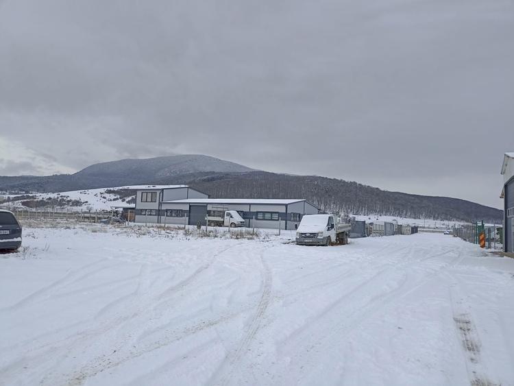 Vand Teren Intravilan Industrial PUZ Codlea Brasov Transilvania - 1