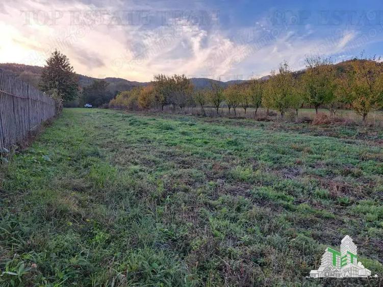 Teren de vanzare Maneciu Pamanteni - 5