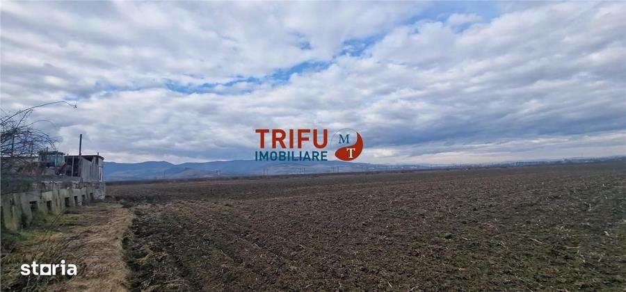 Teren de vanzare zona industriala - 6