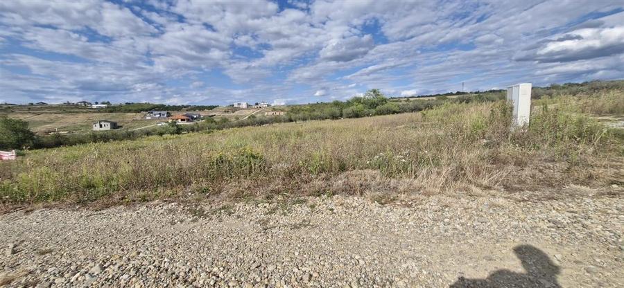 RECO Teren  intravilan in Saldabagiu de Munte - 3