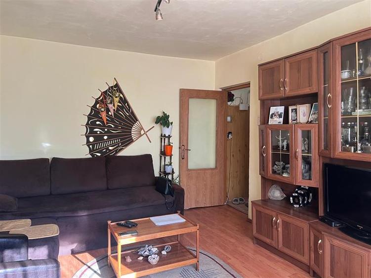 Lugoj, Ap. 2 Cam. Et. 2  Zona Unic - 11