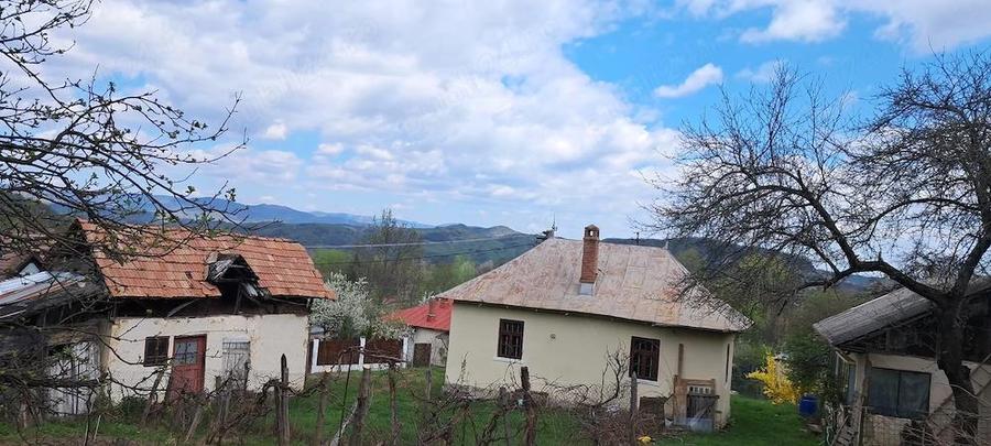 Proprietar, vand 2 case pe un picior de Plai, cu priveliste superba, in Provita de Sus, Prahova - 9