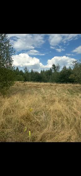 Vand teren extravilant Breaza - 4