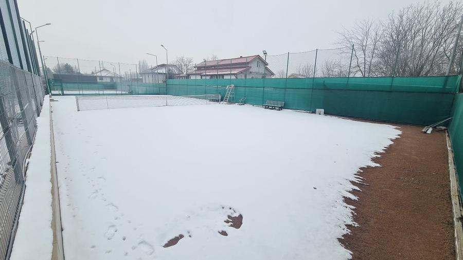 Teren de vânzare – 1322 mp în Mogoșoaia, investiție excelenta - 3