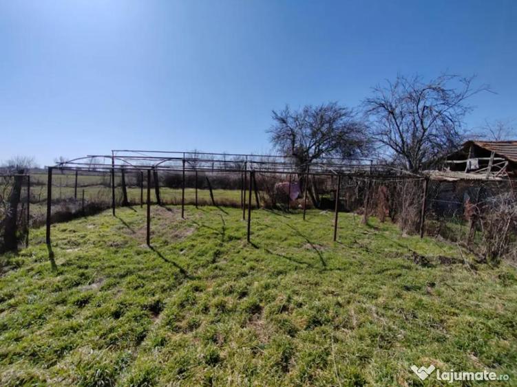 Teren generos cu deschidere 17 ml la strada + casa Vadul - 7