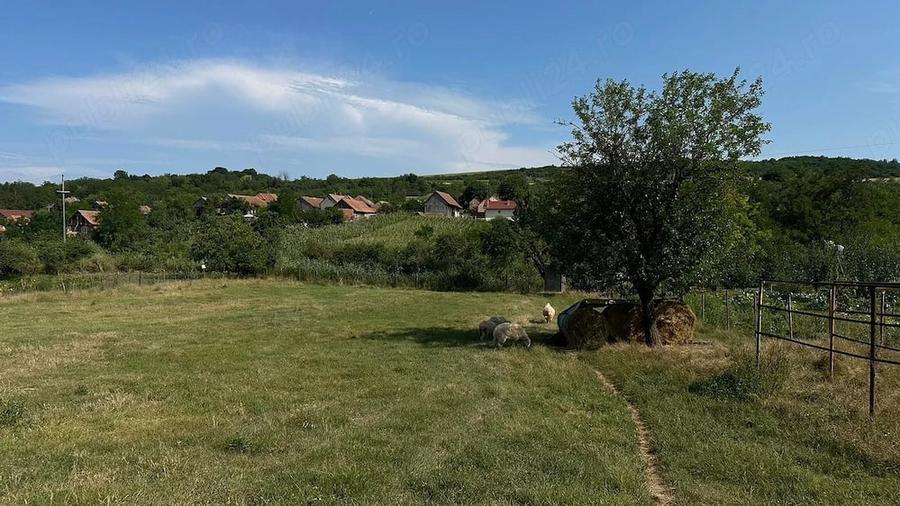 Teren Intravilan 3.664 mp| zona Henig - 1