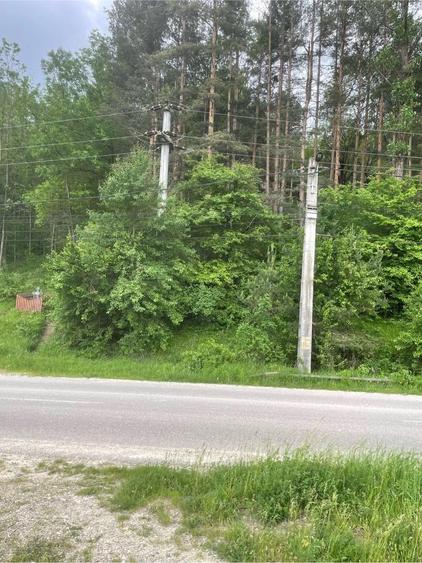 Vand teren cu vegetatie forestiera Manzalesti Grunj - 1