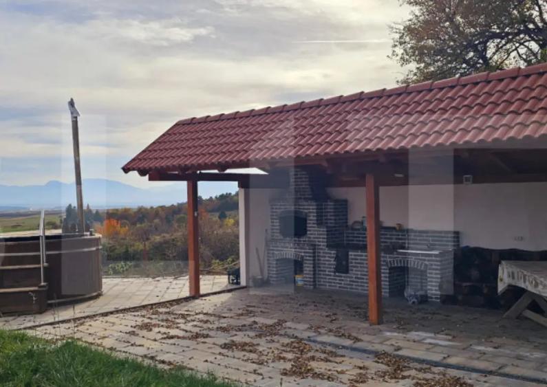 Casa de vanzare, sub padure, intr-un cadru natural deoseb - 1