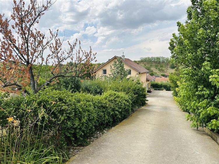 CASA P+M | TEREN 2200 MP | STRADA SOFIEI | ZONA DEALURI - 1