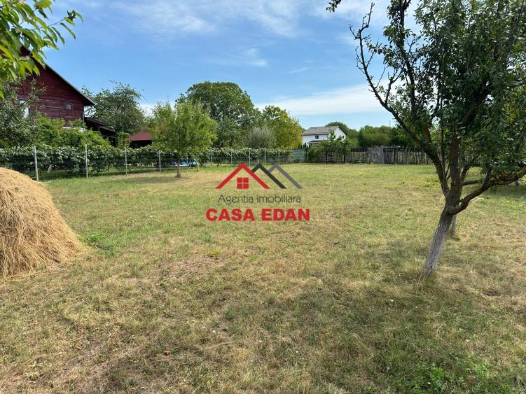 ●Teren in Campina--920mp--28.000e● - 8