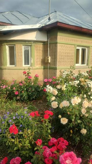 Casa de vanzare Zanoaga Jud.Prahova - 5