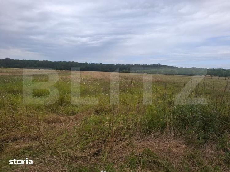 Teren de 2500 mp, în Raciu