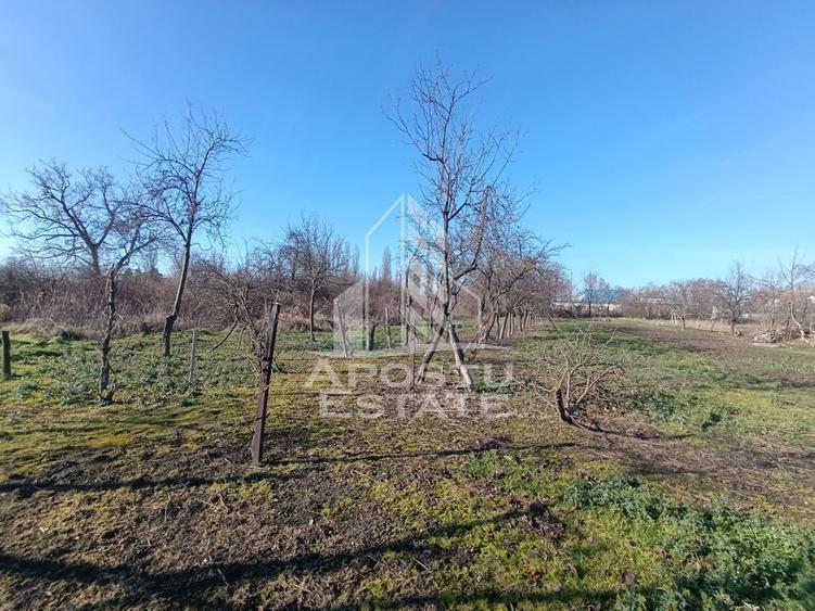 Casa individuala cu teren generos 2158mp, front 12m, liva... - 3