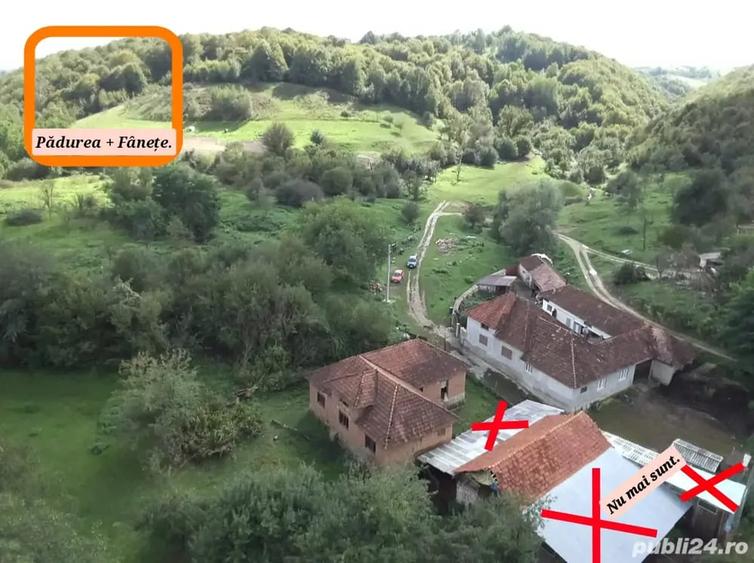 Casă cu 4 camere cu Teren 3500 Mp în Cărpinet