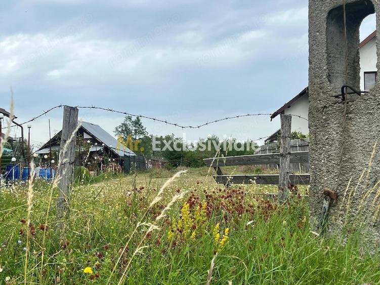 Teren intravilan in Babana jud Arges - 1
