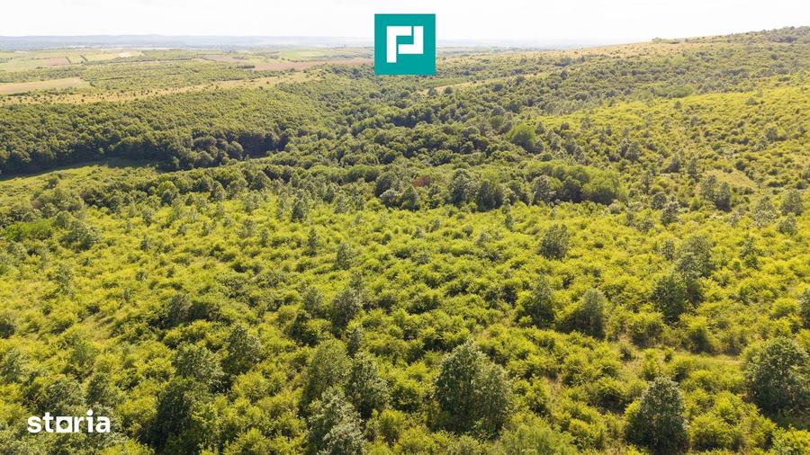 Teren de 22900 mp, în Central
