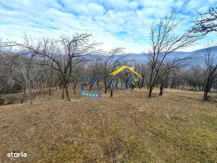 Teren de 5037 mp, în Gura Beliei