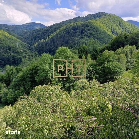 Teren de 170000 mp, în Florești