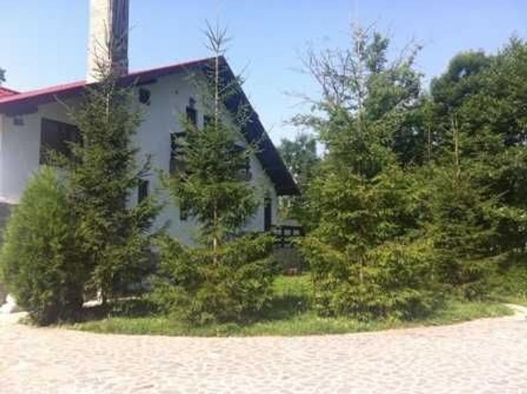 Casă cu 4 camere cu Teren 6200 Mp în Provița de Jos