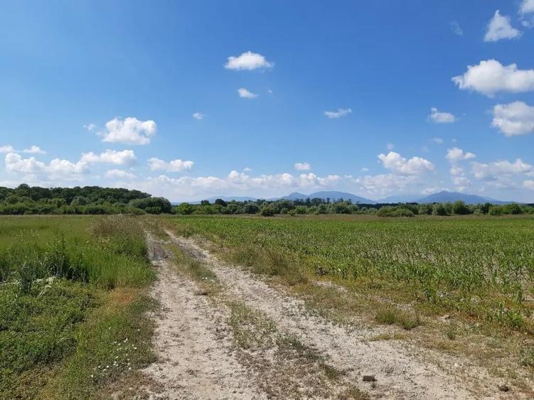 Teren de 20300 mp, în Ilieni