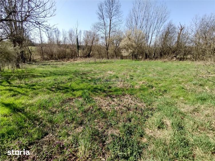 Casă cu 8 camere cu Teren 3800 Mp în Central