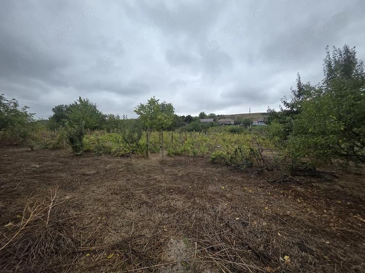 Casă cu Teren 1800 Mp în Scoposeni (Gorban)