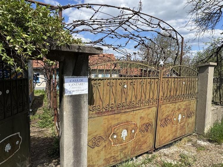 Casă cu 3 camere în Drighiu