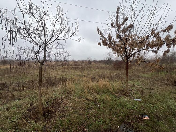 Teren Construcții extravilan de 8874 mp, în Tărtășești