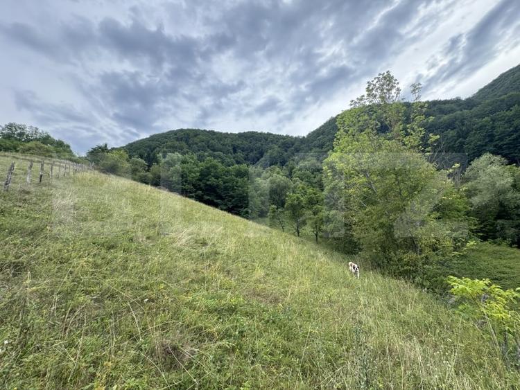 Teren agricol extravilan de 23376 mp, în Periferie