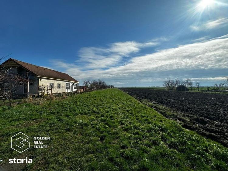 Teren de 5700 mp, în Șofronea