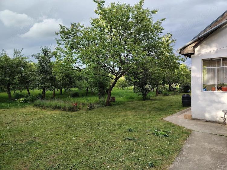 Casă cu 2 camere cu Teren 2500 Mp în Peșteana