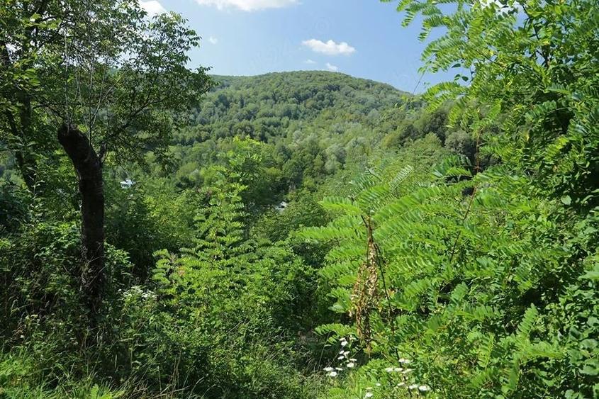 Teren de 2700 mp, în Telega