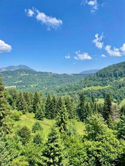Hotel/Pensiune, de 1,650 mp, în Valea Râșnoavei