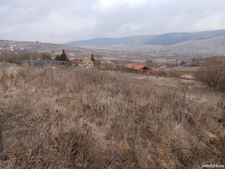 Vand teren intravilan Petrestii de Jos - 4