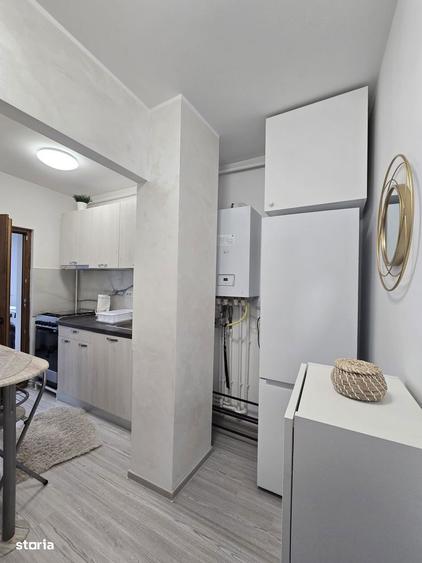 1 camera, Mazepa 1, Salcia, renovat, CT, AC - 5